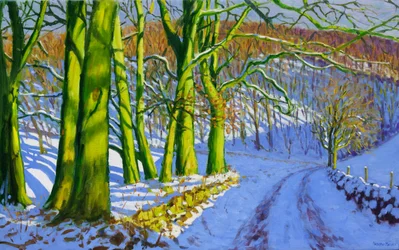 Alberi verdi, inverno; Dam Lane; Derbyshire